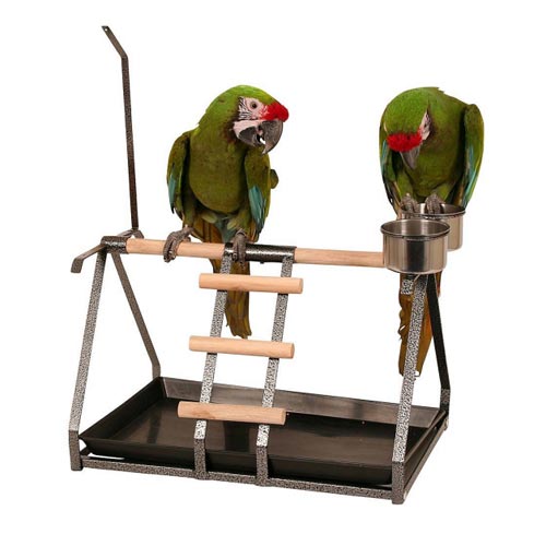 Playstand Playground Playstand Playground
